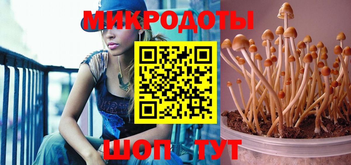 Галлюциногенные грибы GOLDEN TEACHER  Вход с VPN  Муравленко  Псилоцибиновые грибы ЛСД 
